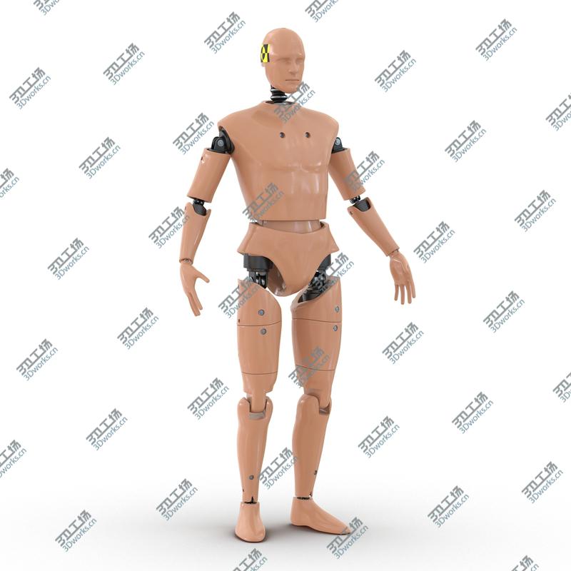 images/goods_img/2021040164/Male Crash Test Dummy Rigged for Maya/5.jpg